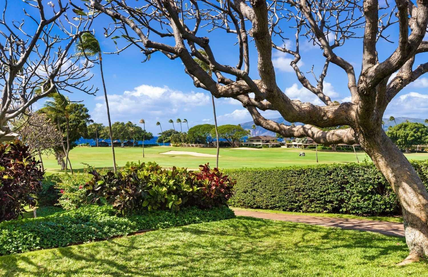 Maui Eldorado - L-105 - 호텔 Kahana 외부 사진